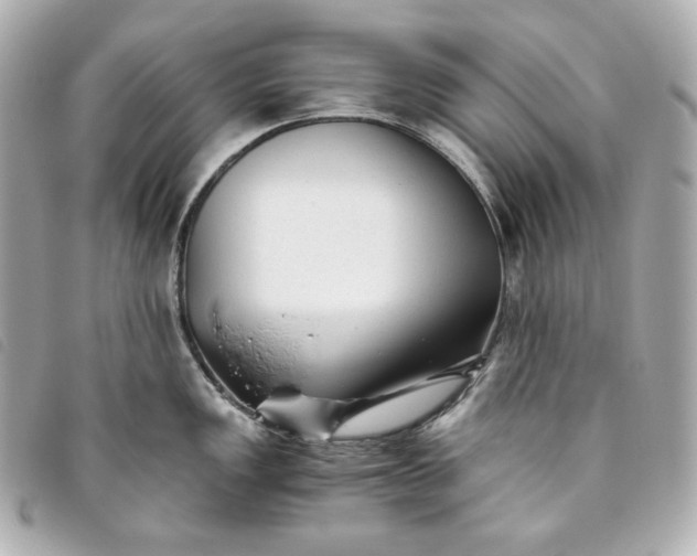 X0000093491149200710261112