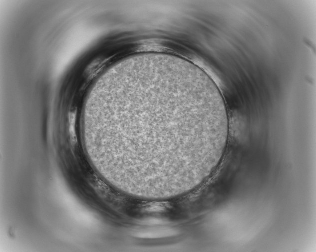 X0000093491150200710261112