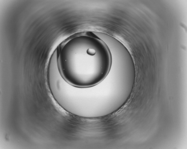 X0000093491152200710261112