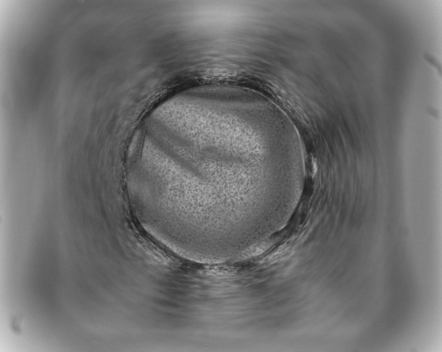 X0000093491153200710261112