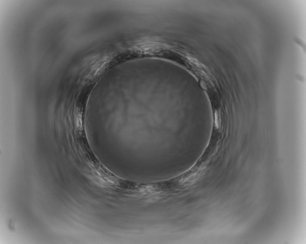 X0000093491155200710261111