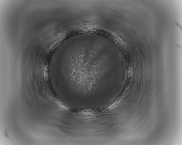 X0000093491156200710261111