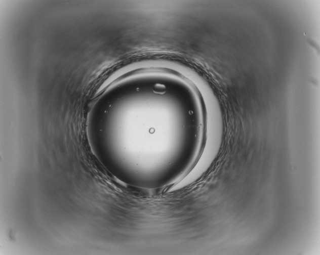 X0000093491157200710261111