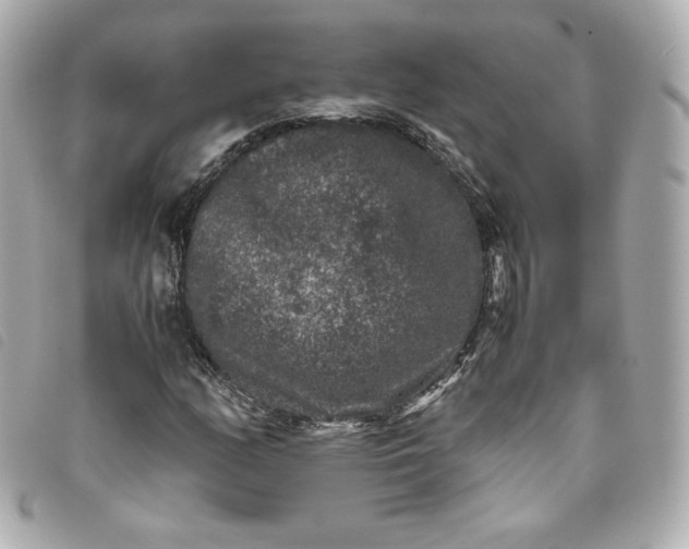 X0000093491158200710261111