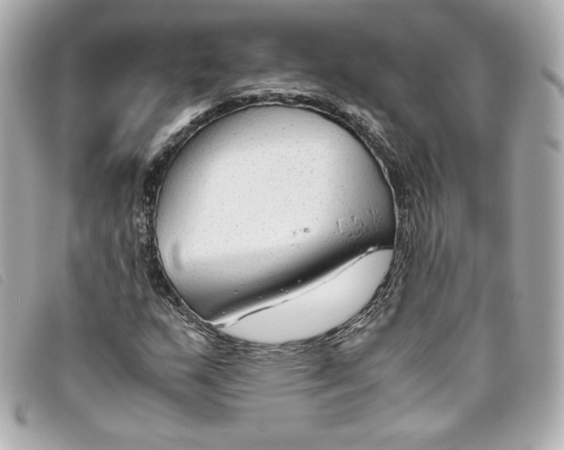 X0000093491159200710261111