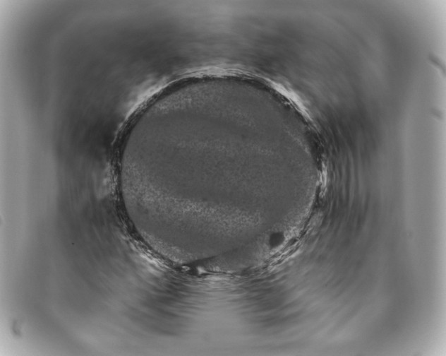 X0000093491160200710261111