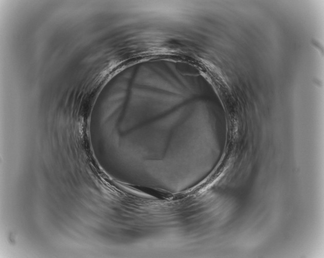 X0000093491161200710261111