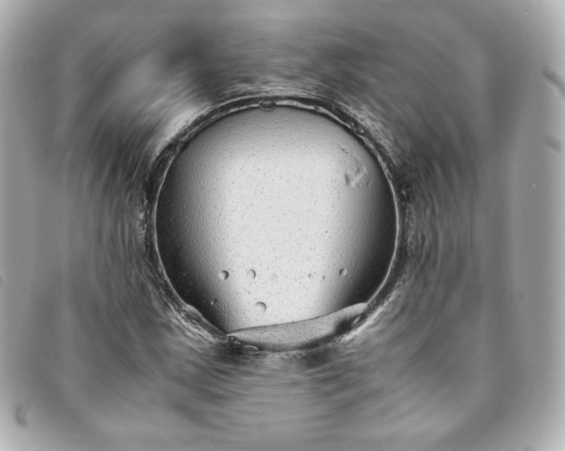 X0000093491163200710261111