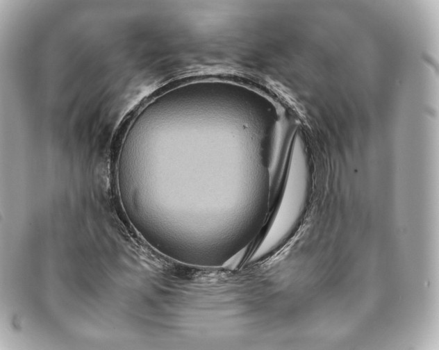 X0000093491165200710261111