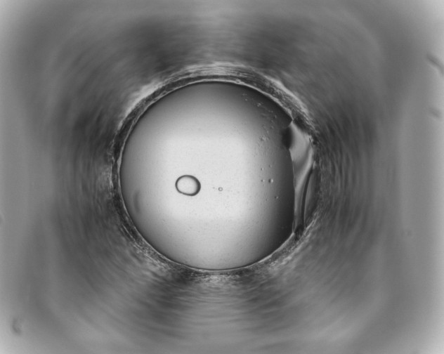 X0000093491166200710261111