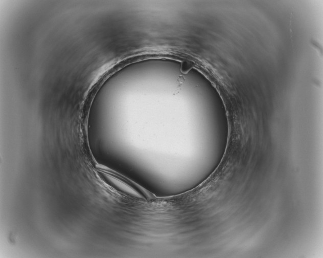 X0000093491168200710261111