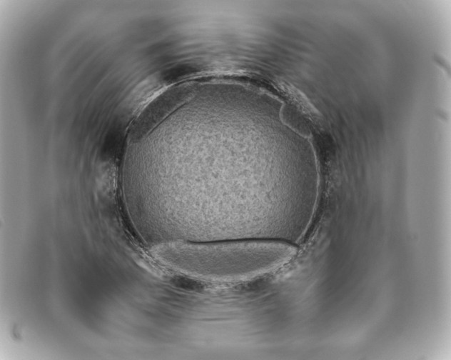 X0000093491169200710261111