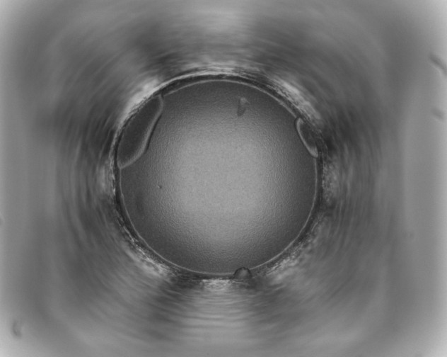 X0000093491172200710261111