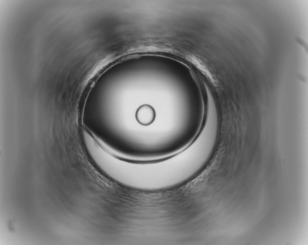 X0000093491173200710261111