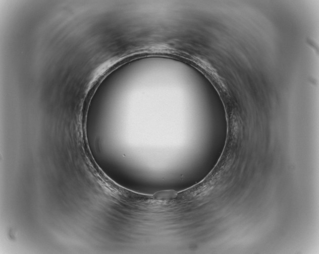 X0000093491176200710261111