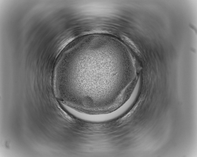 X0000093491177200710261111