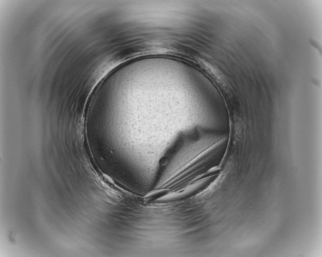 X0000093491178200710261111