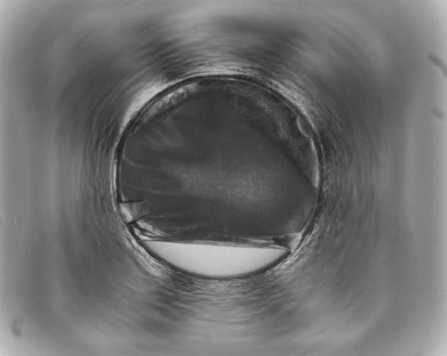 X0000093491179200710261111