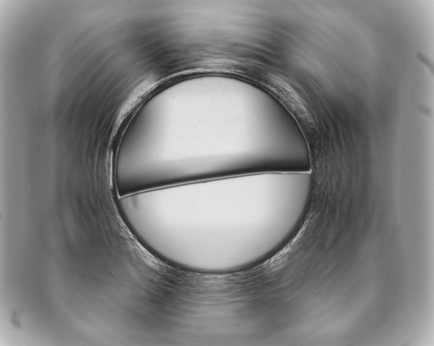 X0000093491180200710261111