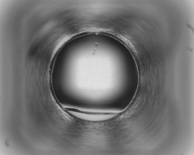 X0000093491183200710261111