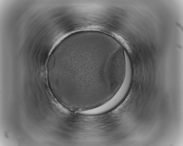 X0000093491184200710261111