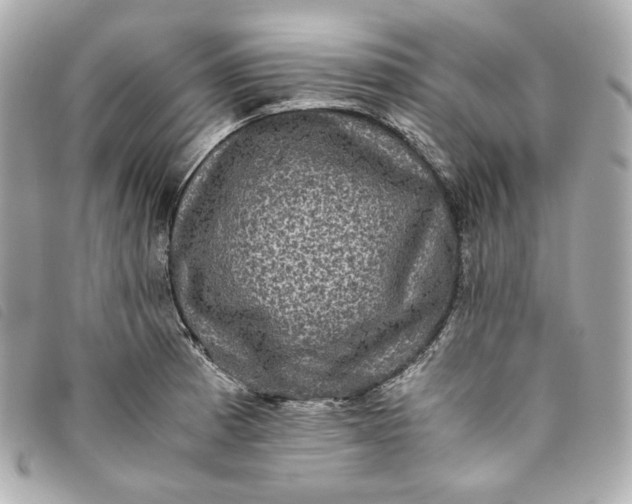 X0000093491185200710261111