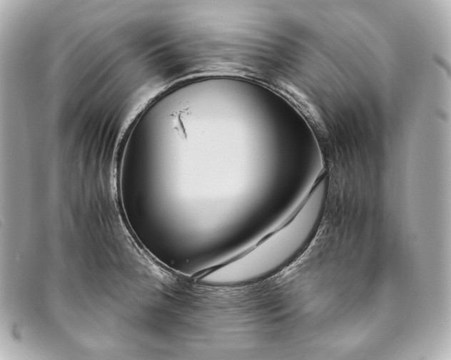 X0000093491188200710261111