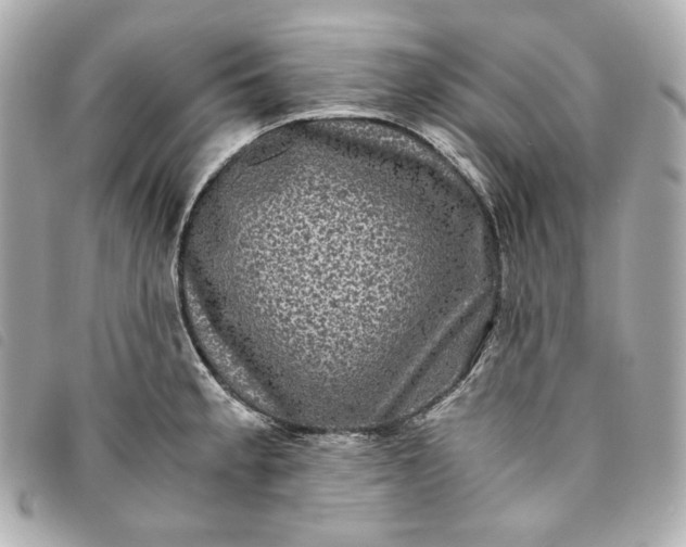 X0000093491189200710261111