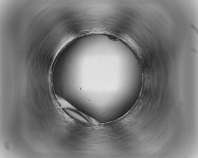 X0000093491190200710261111