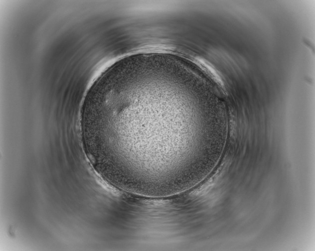 X0000093491192200710261111