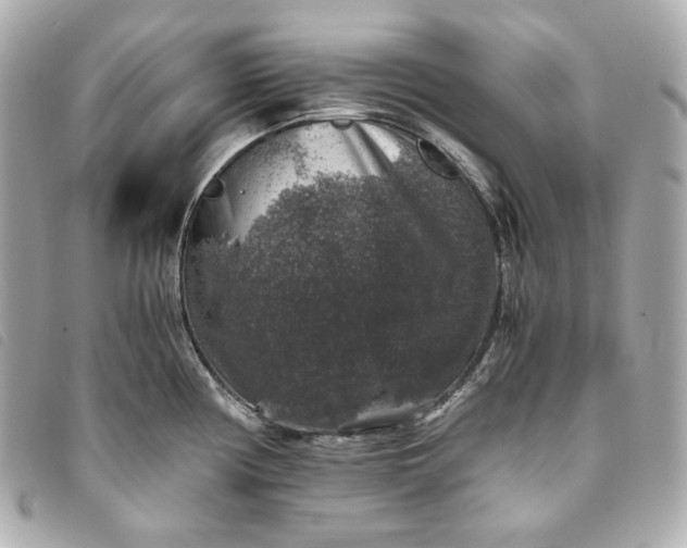 X0000093491194200710261111