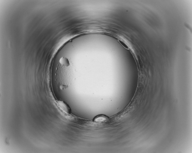 X0000093491195200710261111