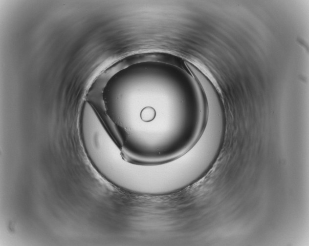 X0000093491197200710261111