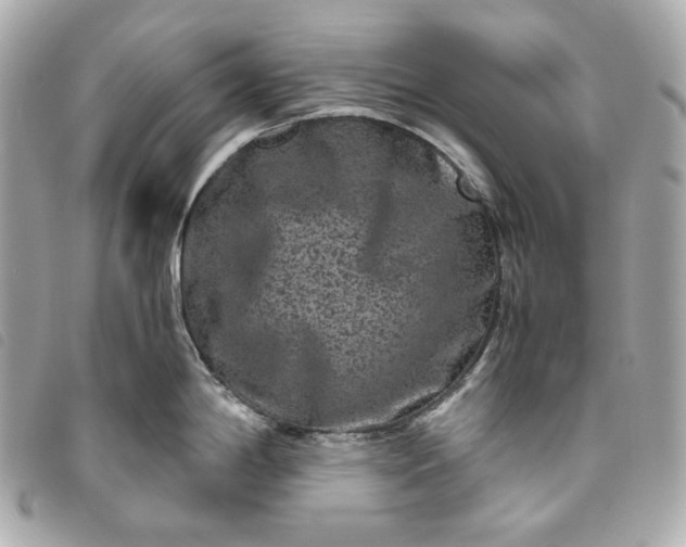 X0000093491198200710261111