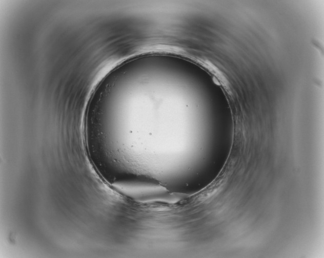 X0000093491199200710261111