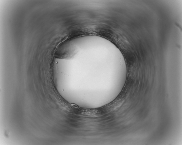 X0000093491201200710261110