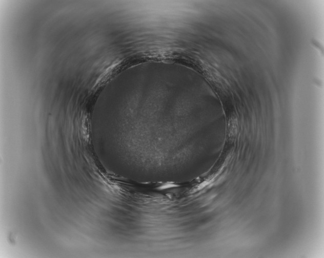 X0000093491202200710261110