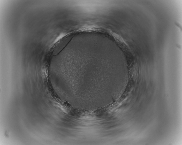 X0000093491206200710261110