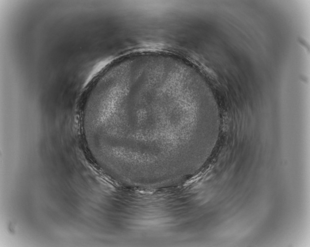 X0000093491208200710261110