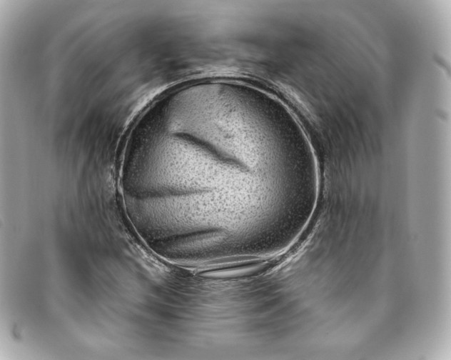 X0000093491212200710261110