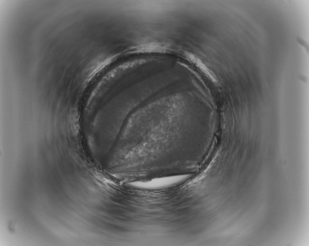 X0000093491213200710261111