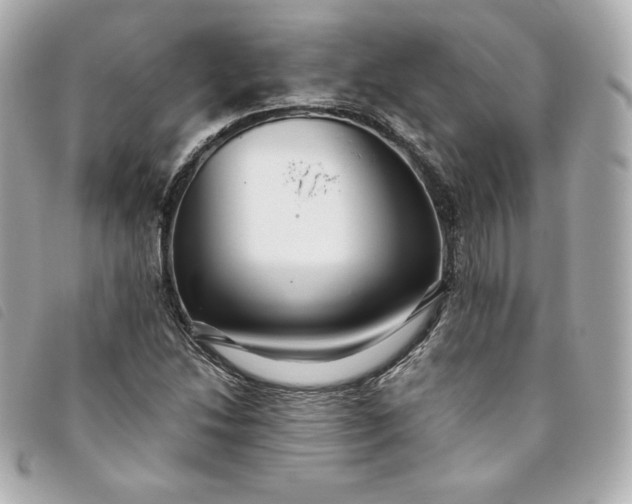 X0000093491214200710261111