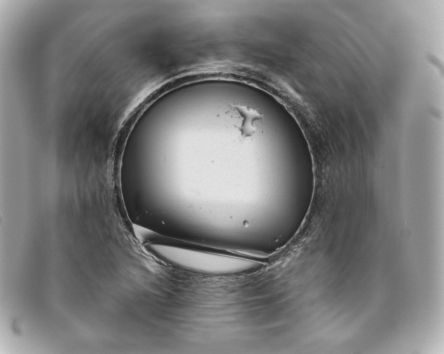 X0000093491216200710261111