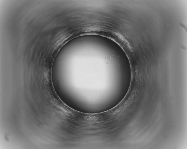 X0000093491217200710261111