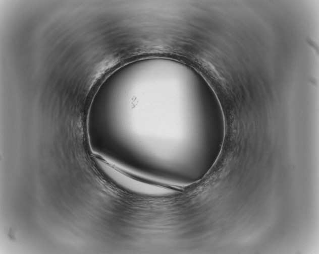 X0000093491218200710261111