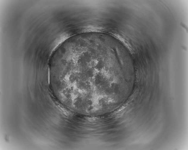 X0000093491219200710261111