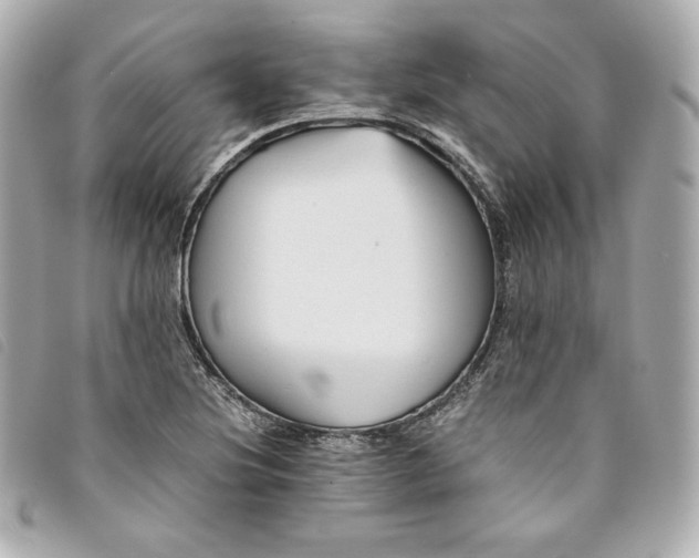 X0000093491220200710261111