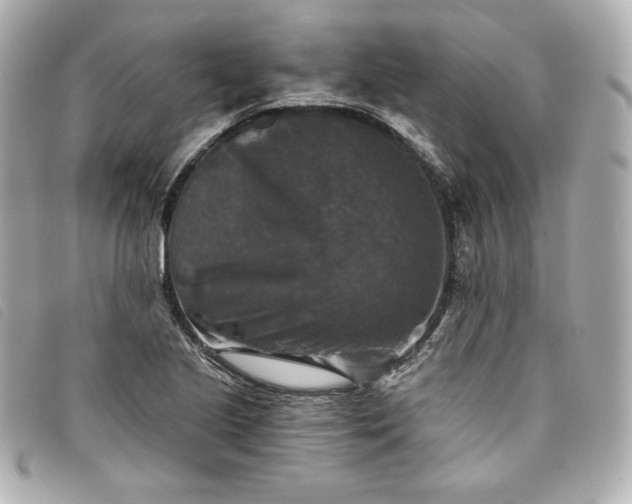 X0000093491221200710261111