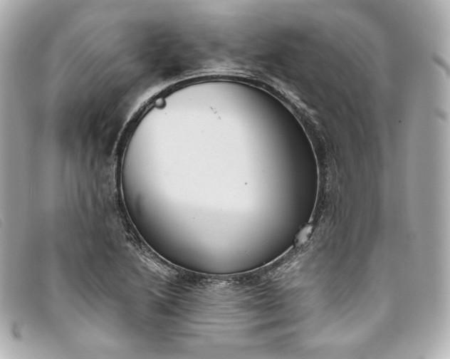 X0000093491222200710261111