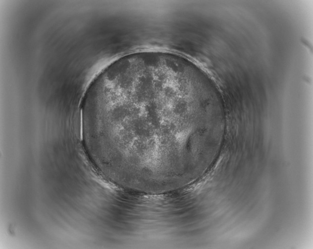 X0000093491223200710261111